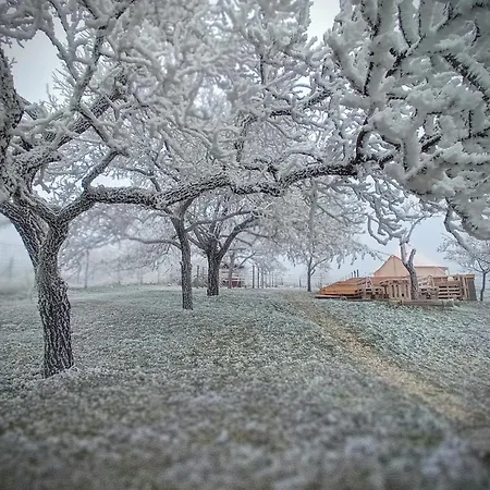 Luxury tent Osada Na Hurce *